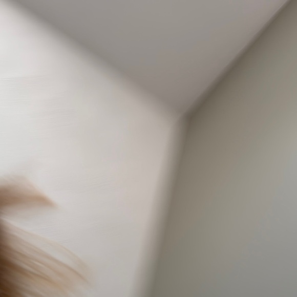 Van Heusen White Dress Shirt with Point Collar 16-16.5 34/35 size L - Picture 4 of 7